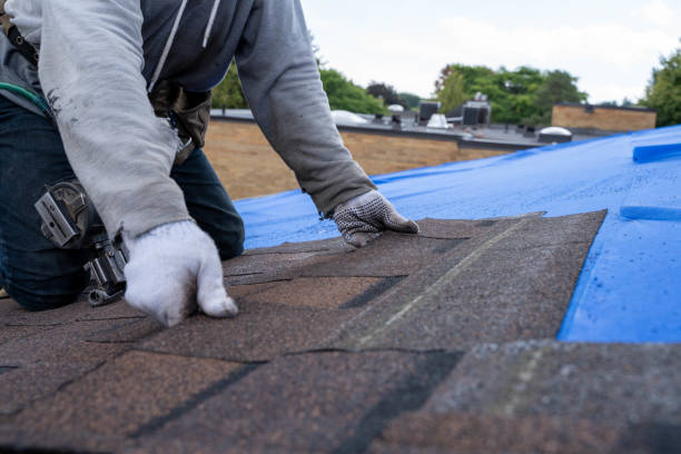 Best Roof Gutter Cleaning  in East Whittier, CA